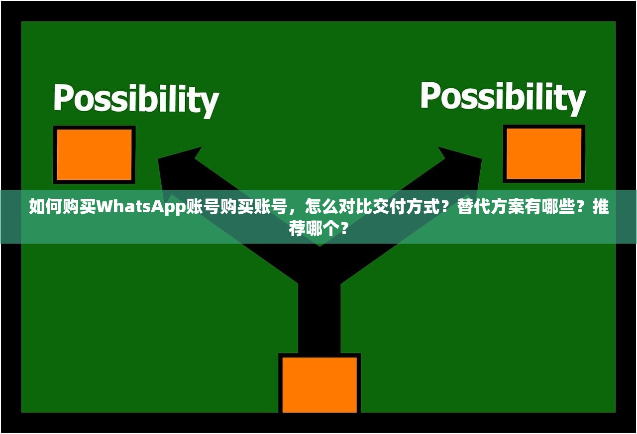 如何购买WhatsApp账号购买账号，怎么对比交付方式？替代方案有哪些？推荐哪个？