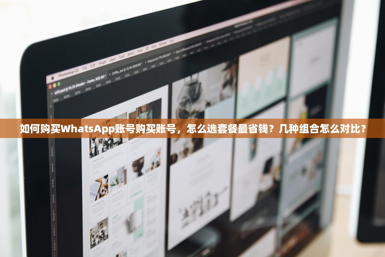 如何购买WhatsApp账号购买账号，怎么选套餐最省钱？几种组合怎么对比？