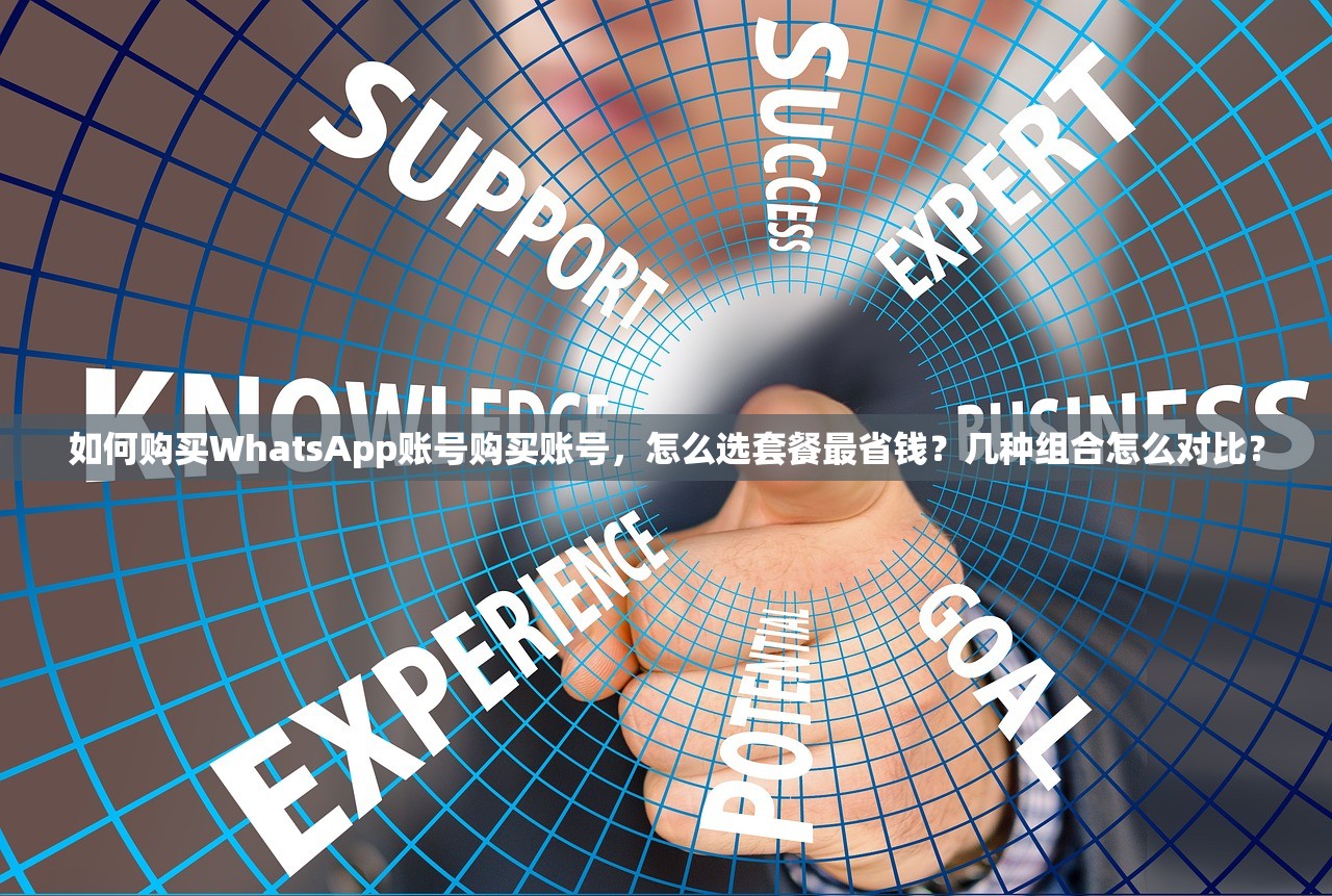 如何购买WhatsApp账号购买账号,怎么选套餐最省钱?几种组合怎么对比?