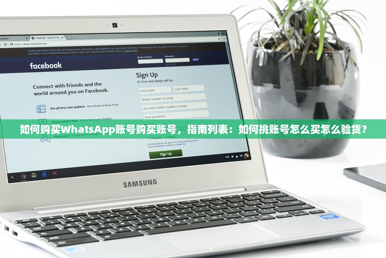 如何购买WhatsApp账号购买账号,指南列表:如何挑账号怎么买怎么验货?