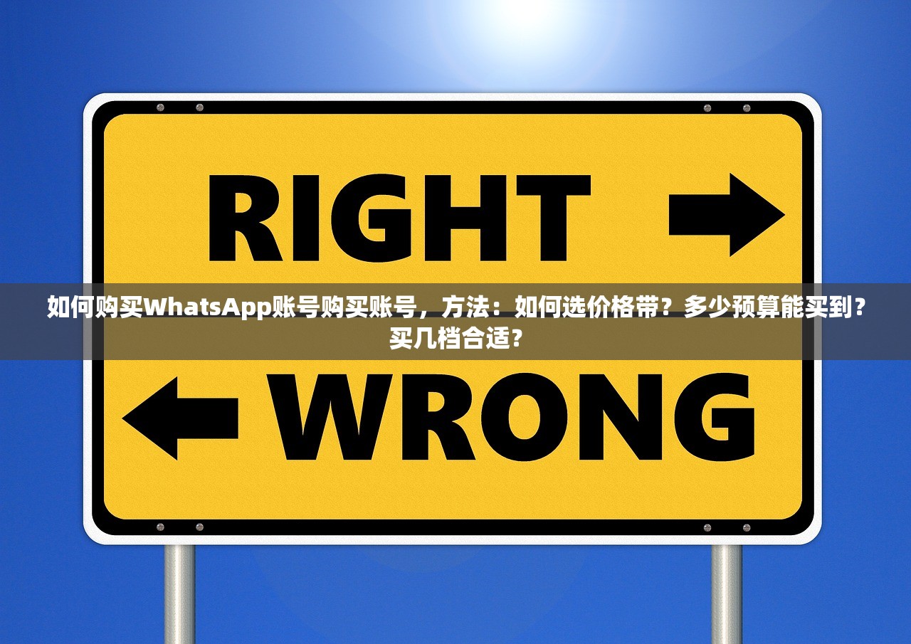 如何购买WhatsApp账号购买账号，方法：如何选价格带？多少预算能买到？买几档合适？