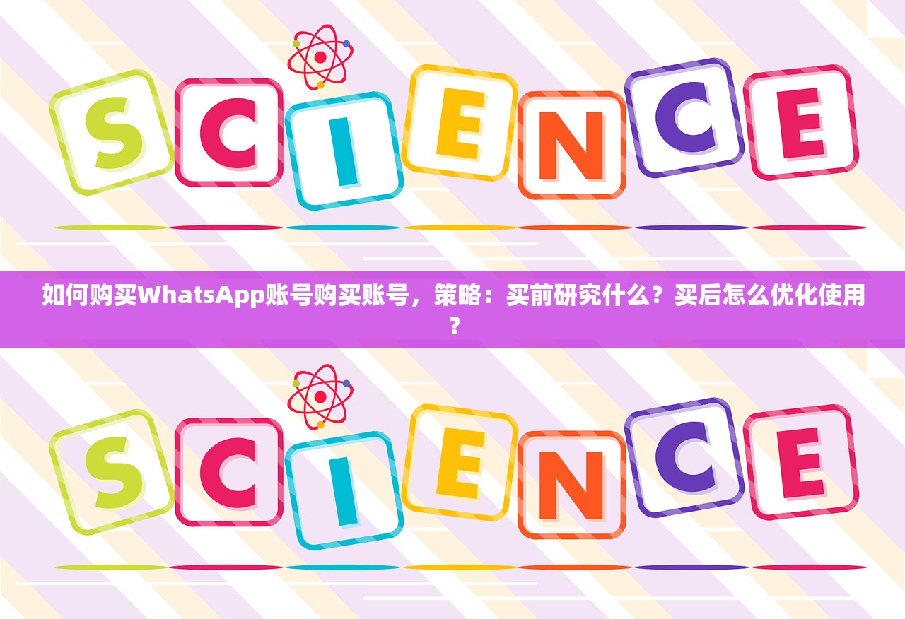 如何购买WhatsApp账号购买账号,策略:买前研究什么?买后怎么优化使用?