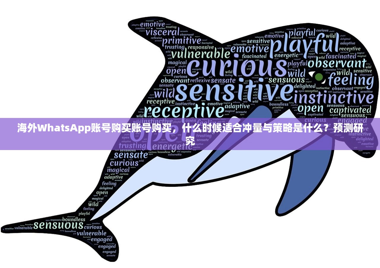 海外WhatsApp账号购买账号购买,什么时候适合冲量与策略是什么?预测研究