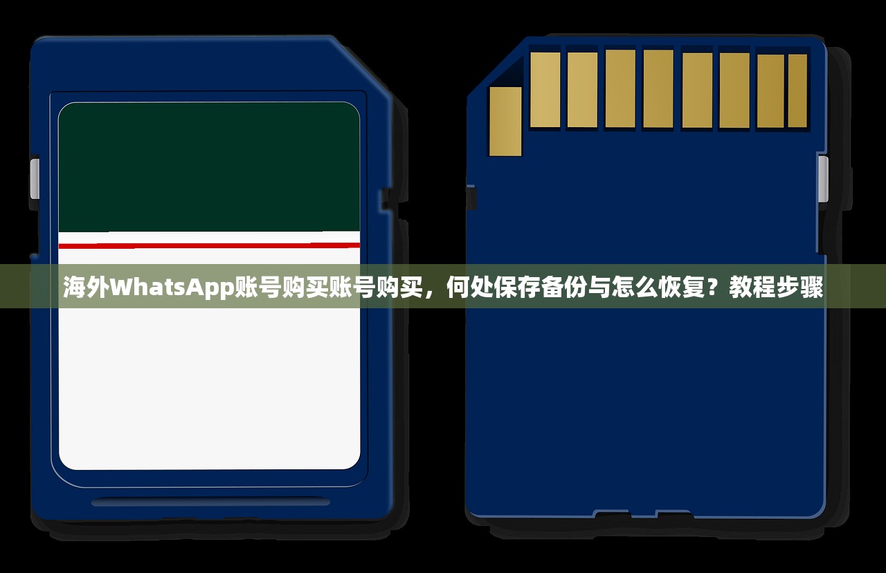 WhatsApp账号购买会员账号购买怎么比较不同服务费,选择策略?