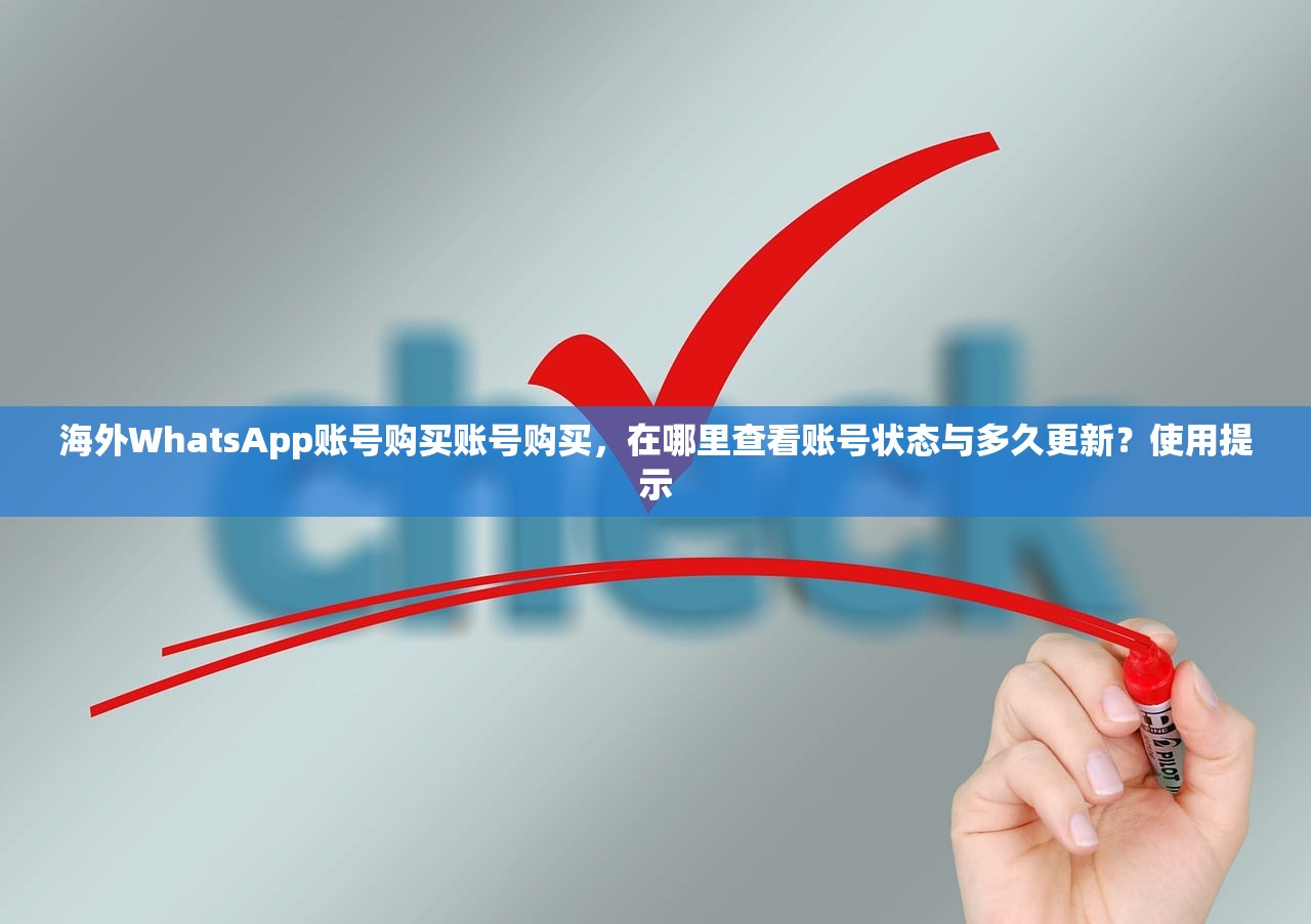 海外WhatsApp账号购买账号购买，在哪里查看账号状态与多久更新？使用提示