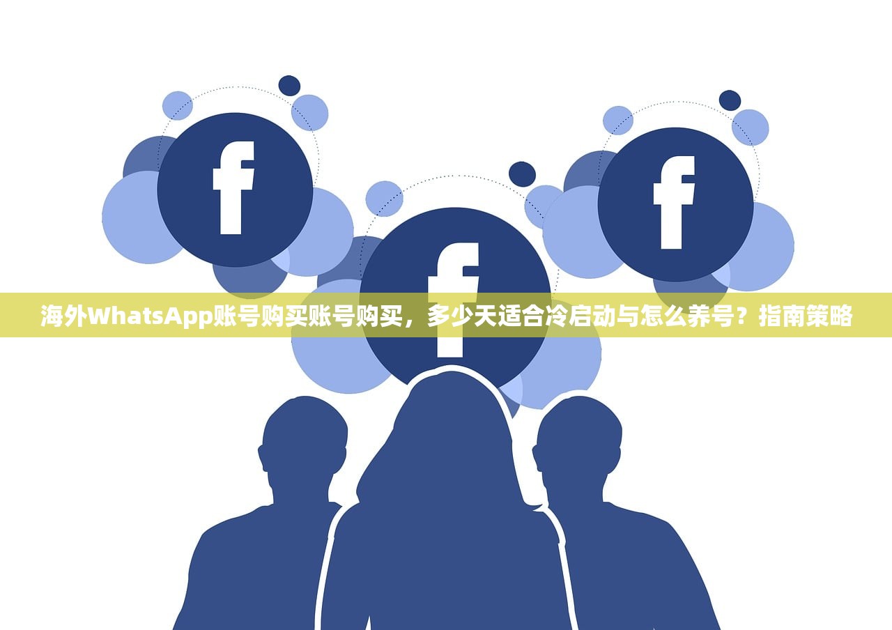 海外WhatsApp账号购买账号购买，多少天适合冷启动与怎么养号？指南策略