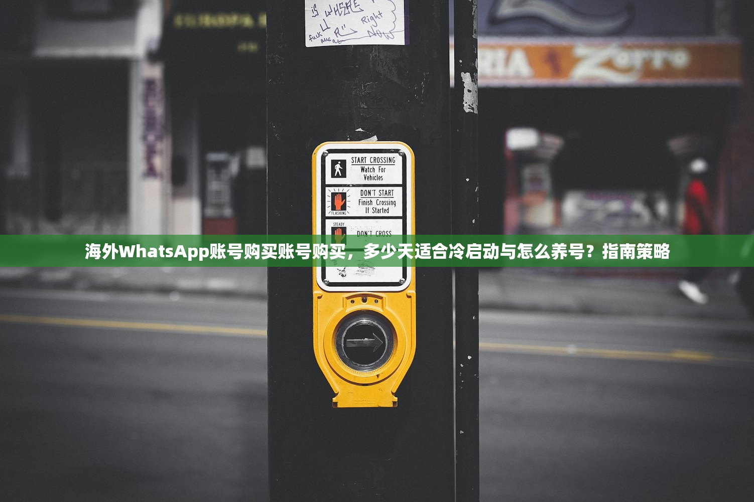 海外WhatsApp账号购买账号购买,多少天适合冷启动与怎么养号?指南策略