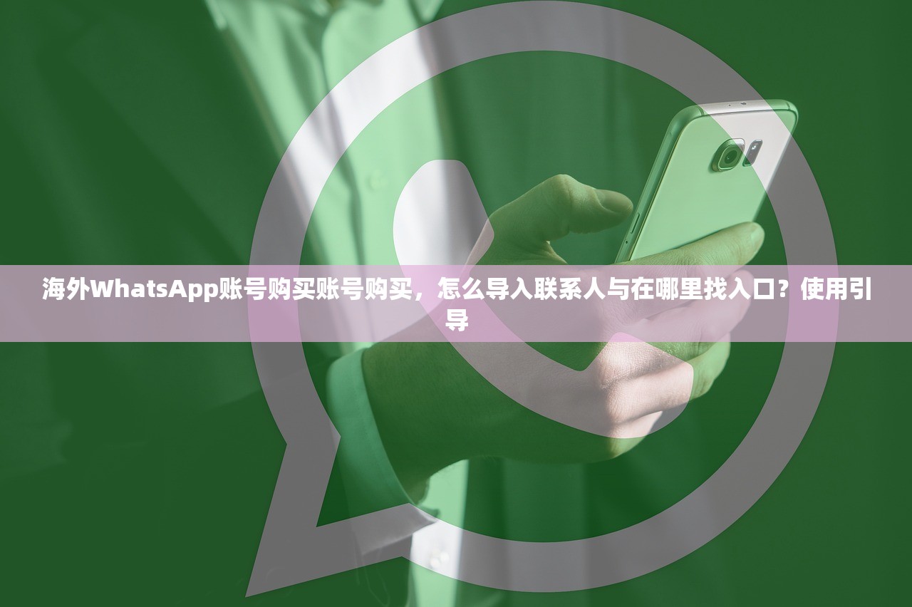 海外WhatsApp账号购买账号购买，怎么导入联系人与在哪里找入口？使用引导