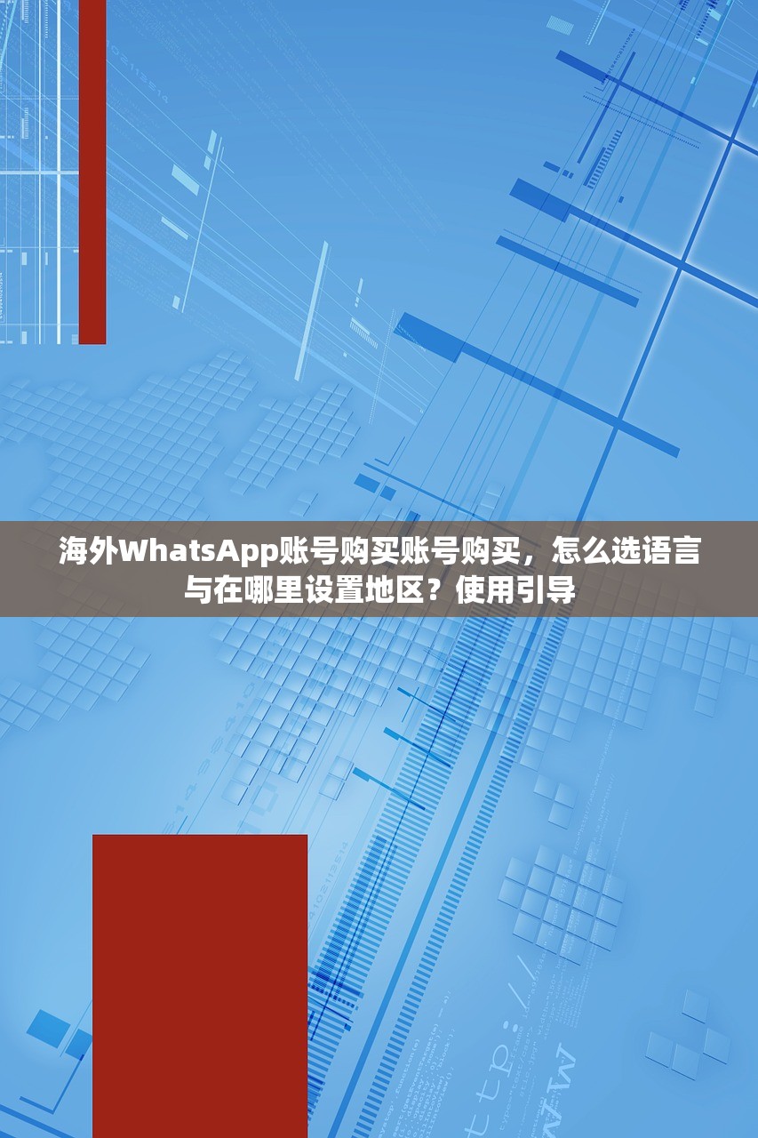 WhatsApp账号购买会员账号购买在哪里看协议条款，如何理解风险？