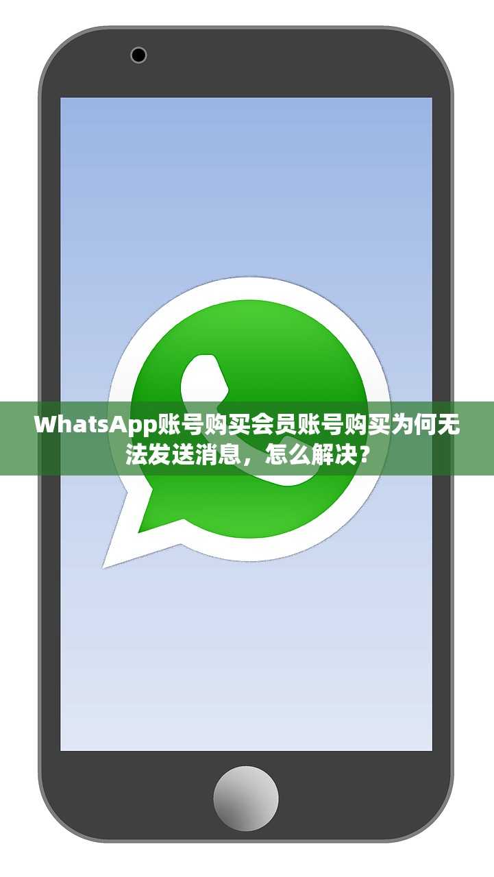 WhatsApp账号购买会员账号购买为何无法发送消息，怎么解决？