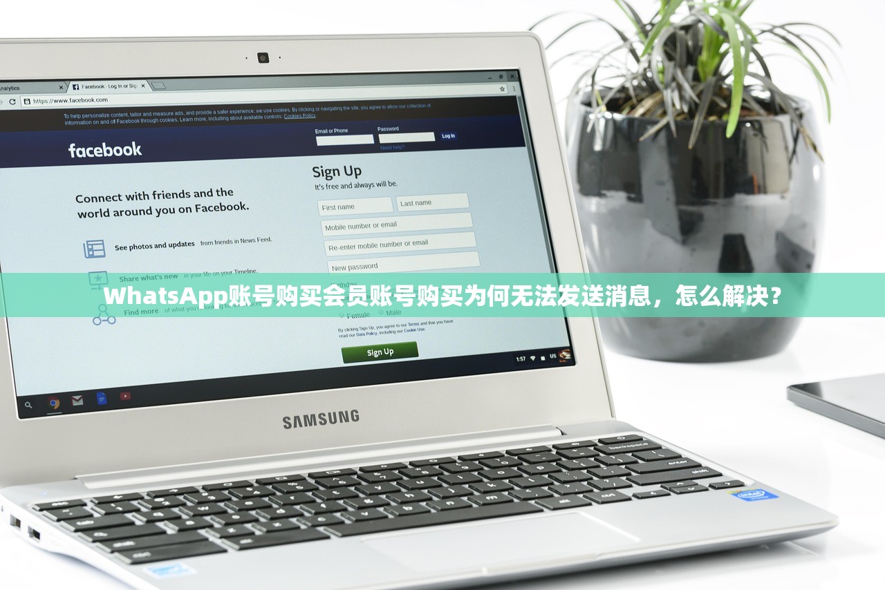 WhatsApp账号购买会员账号购买为何无法发送消息,怎么解决?