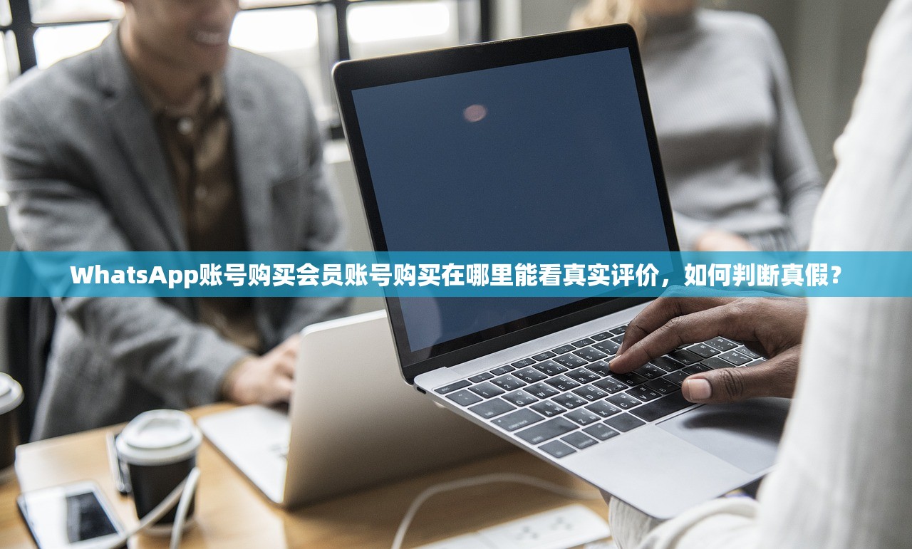 WhatsApp账号购买会员账号购买在哪里能看真实评价,如何判断真假?