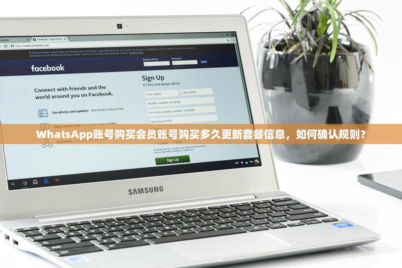 WhatsApp账号购买会员账号购买多久更新套餐信息,如何确认规则?