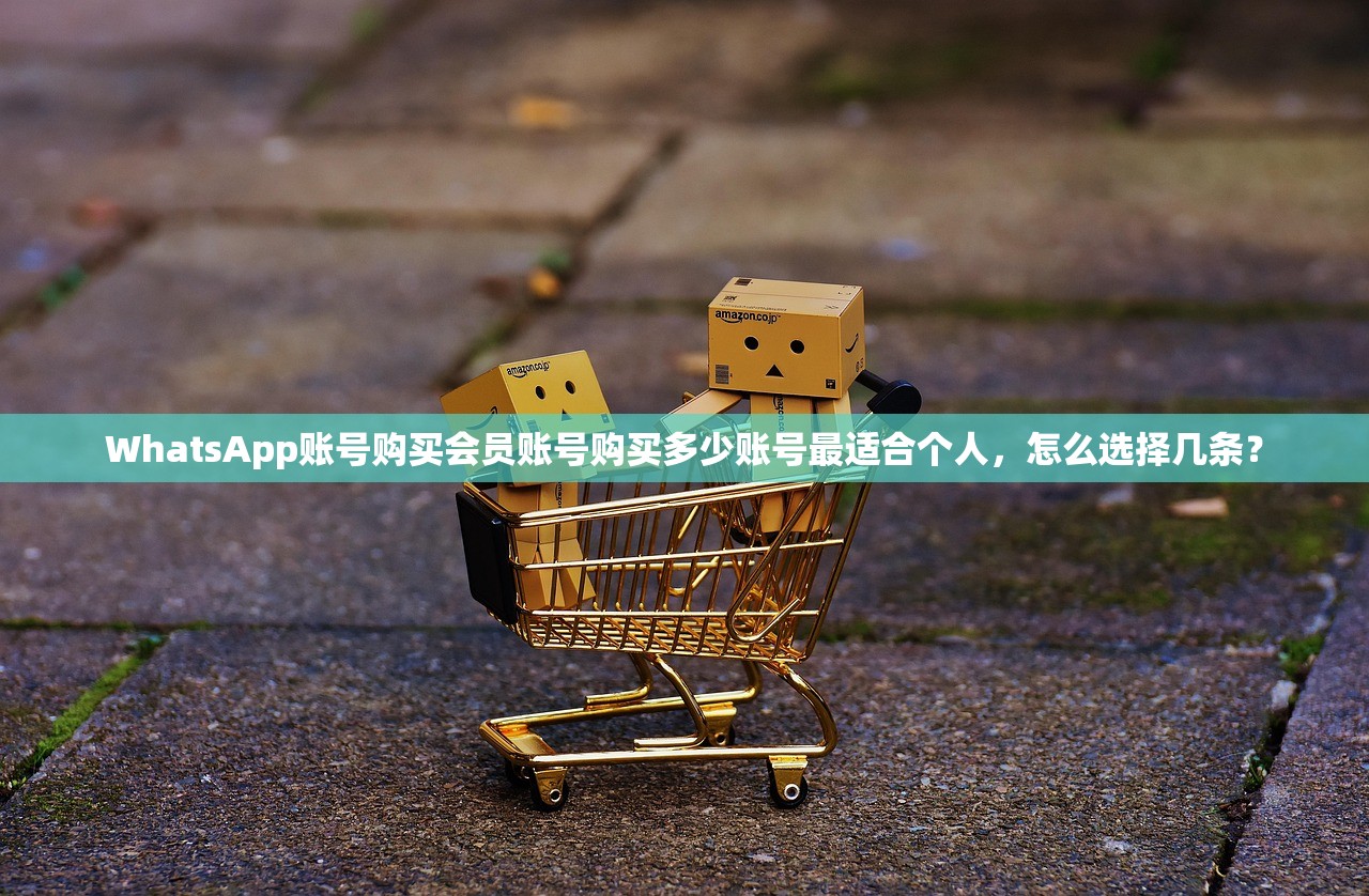 WhatsApp账号购买会员账号购买多少账号最适合个人，怎么选择几条？