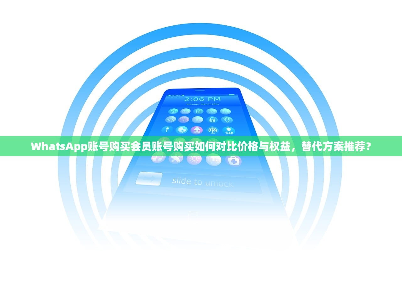 WhatsApp账号购买会员账号购买如何对比价格与权益,替代方案推荐?