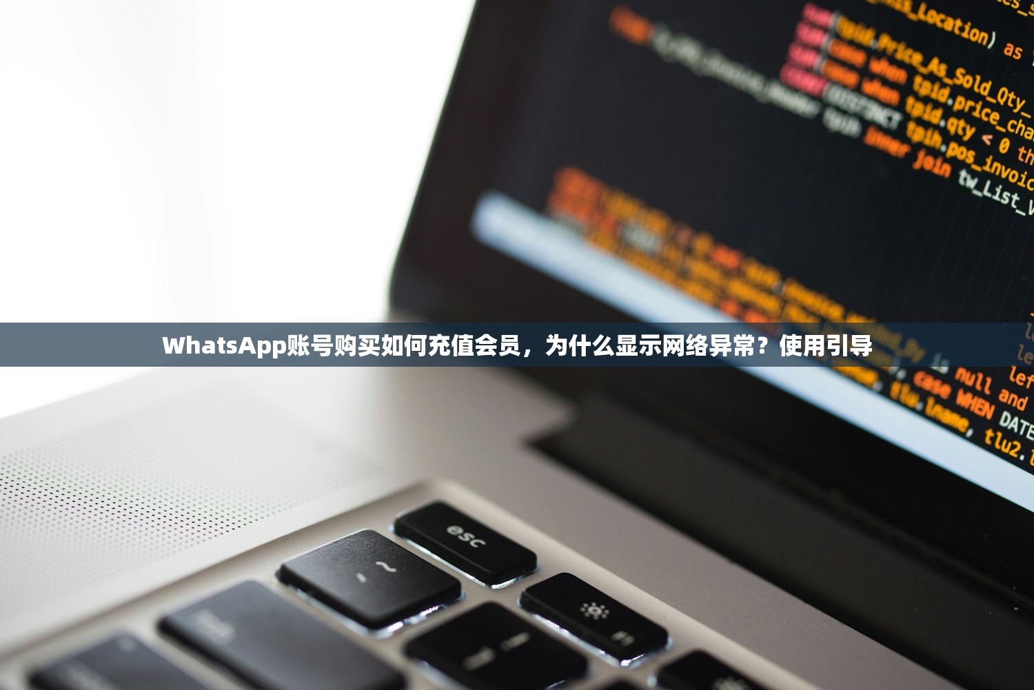 WhatsApp账号购买如何充值会员,为什么显示网络异常?使用引导