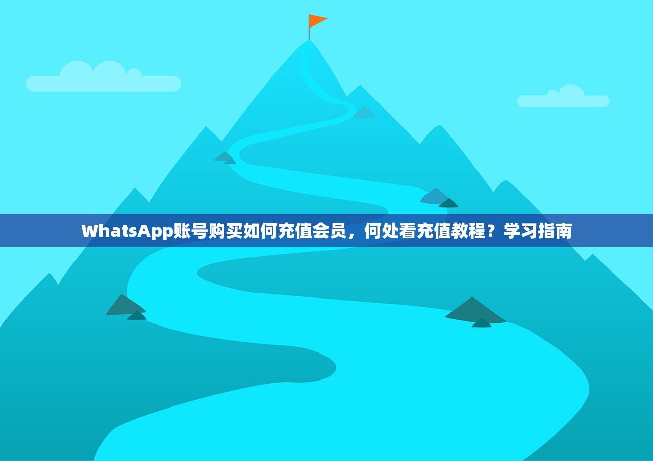 WhatsApp账号购买如何充值会员，何处看充值教程？学习指南