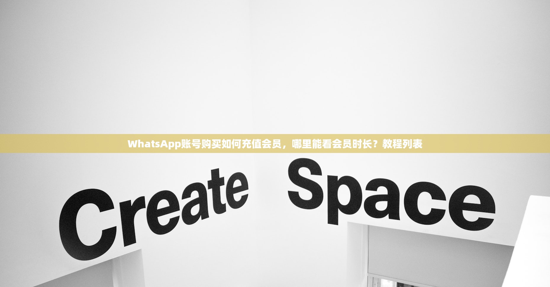 WhatsApp账号购买如何充值会员，哪里能看会员时长？教程列表