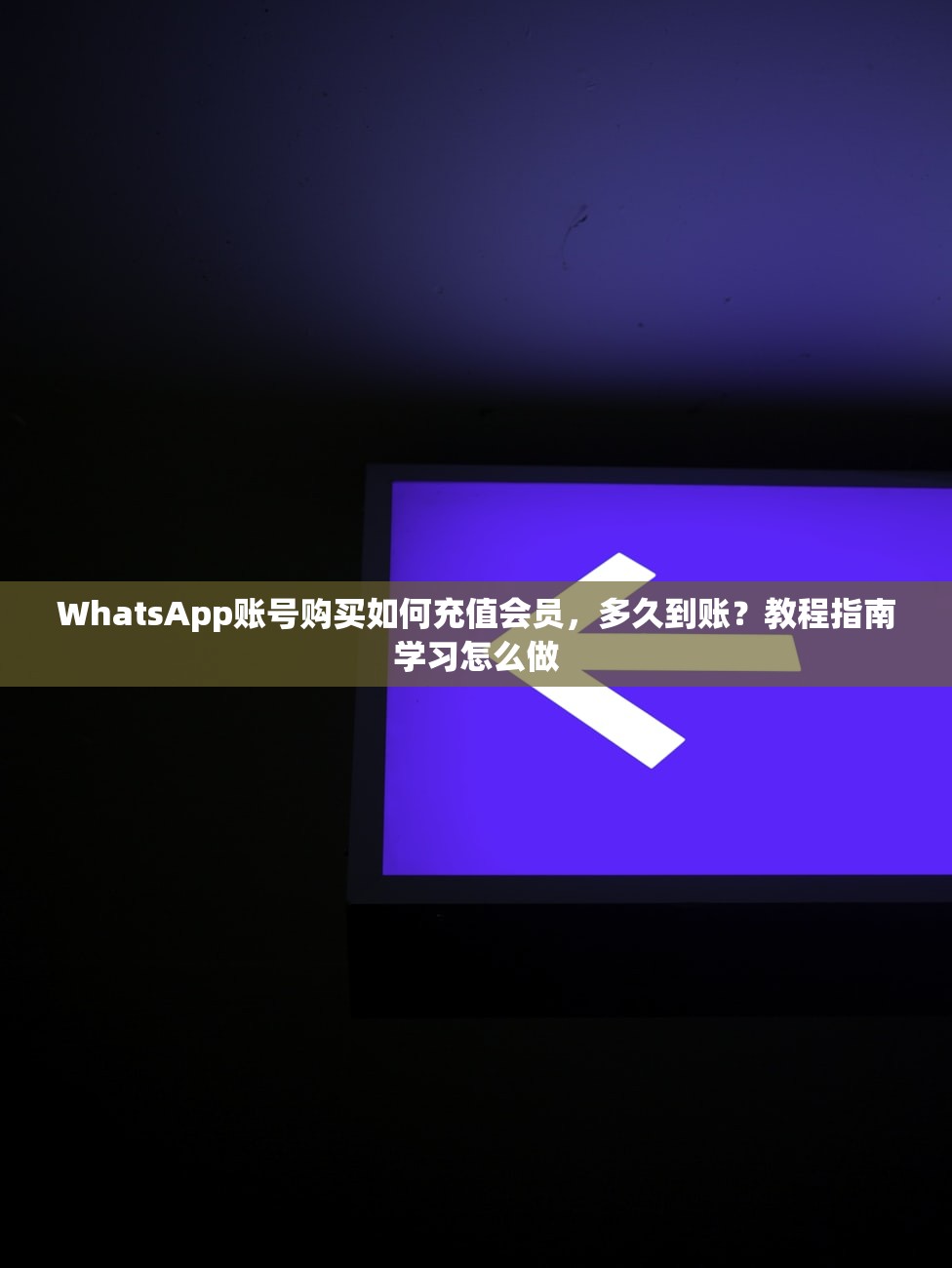 WhatsApp账号购买如何充值会员,多久到账?教程指南学习怎么做