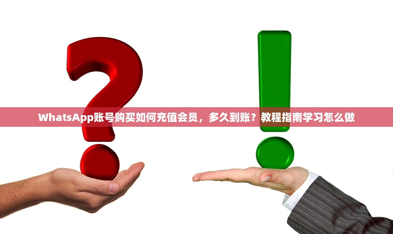 WhatsApp账号购买如何充值会员,多久到账?教程指南学习怎么做