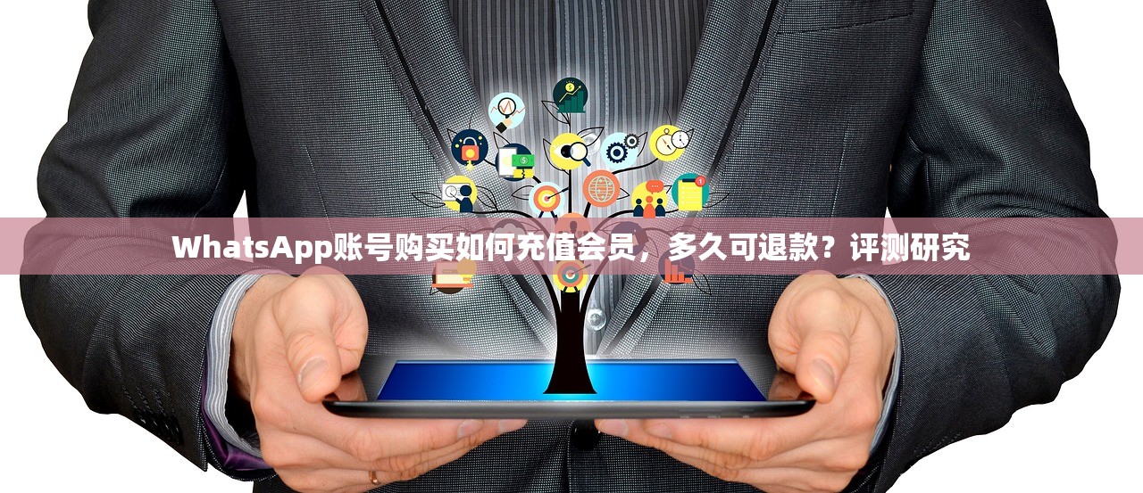WhatsApp账号购买如何充值会员，多久可退款？评测研究