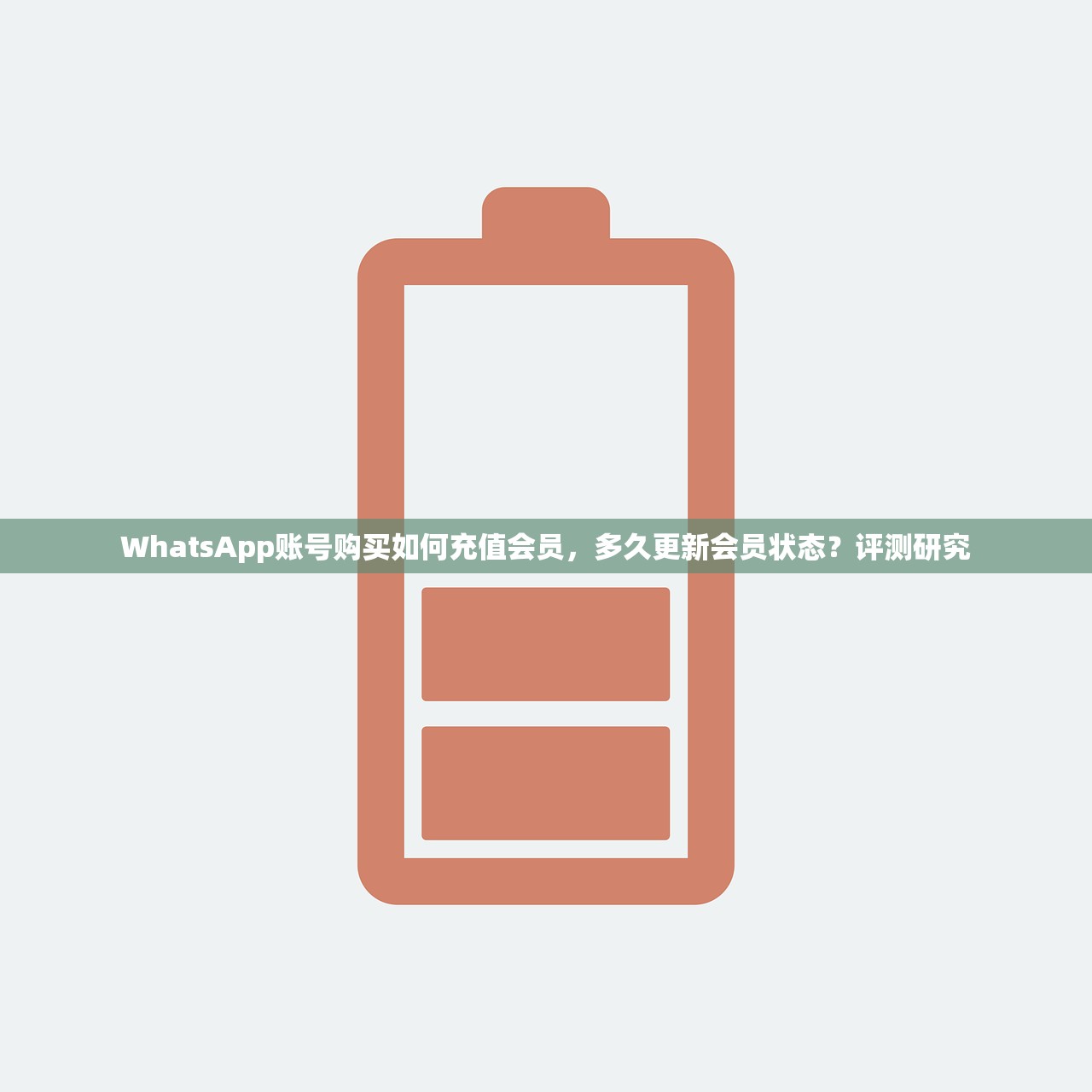 WhatsApp账号购买如何充值会员，多久更新会员状态？评测研究