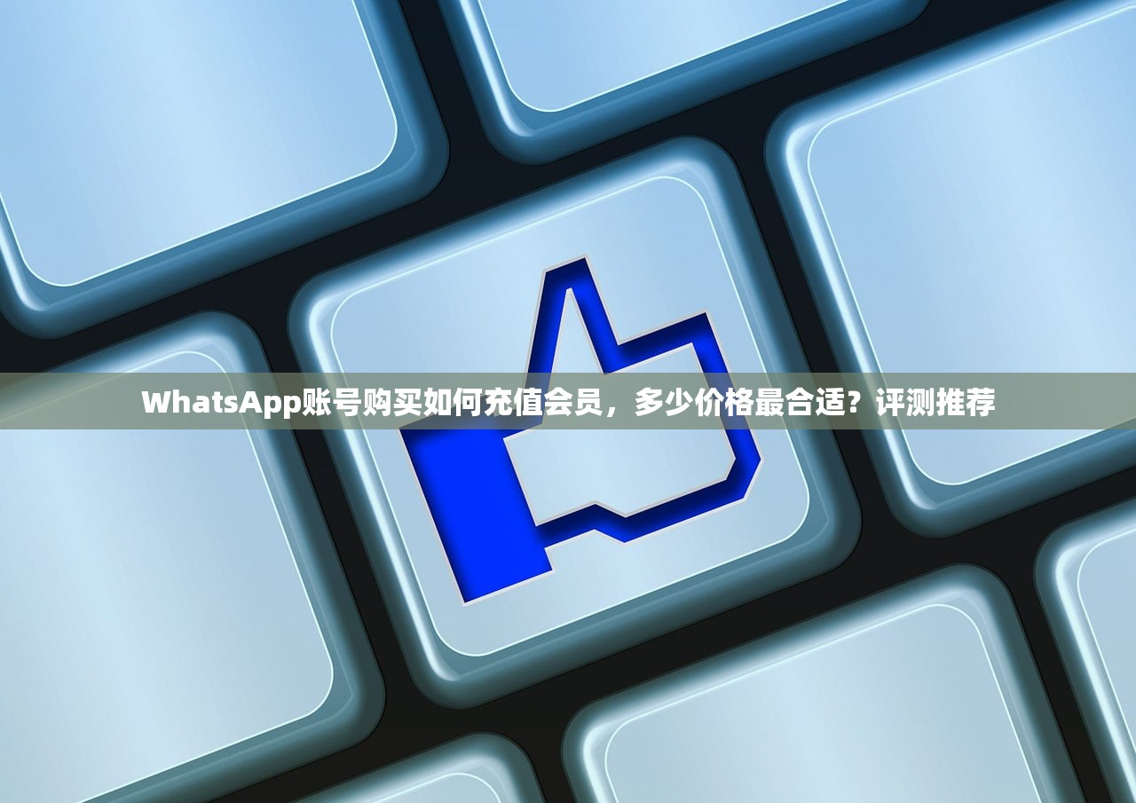 WhatsApp账号购买如何充值会员,多少价格最合适?评测推荐