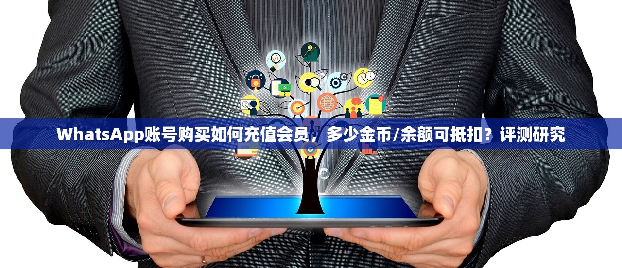 WhatsApp账号购买如何充值会员,多少金币/余额可抵扣?评测研究