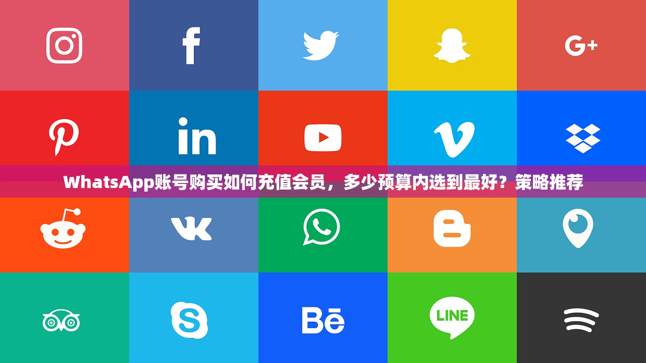 WhatsApp账号购买如何充值会员,多少预算内选到最好?策略推荐