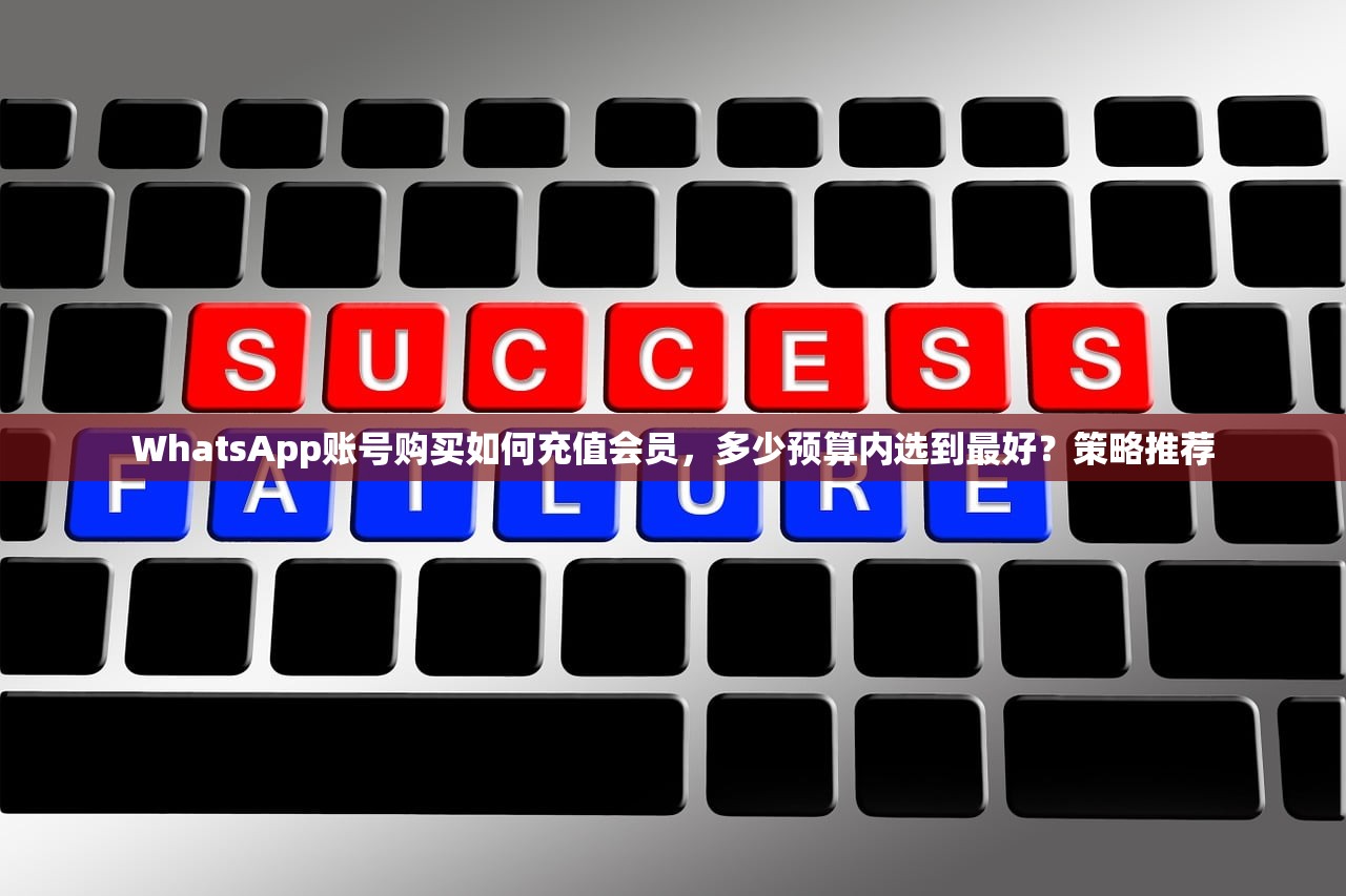 WhatsApp账号购买如何充值会员,多少预算内选到最好?策略推荐