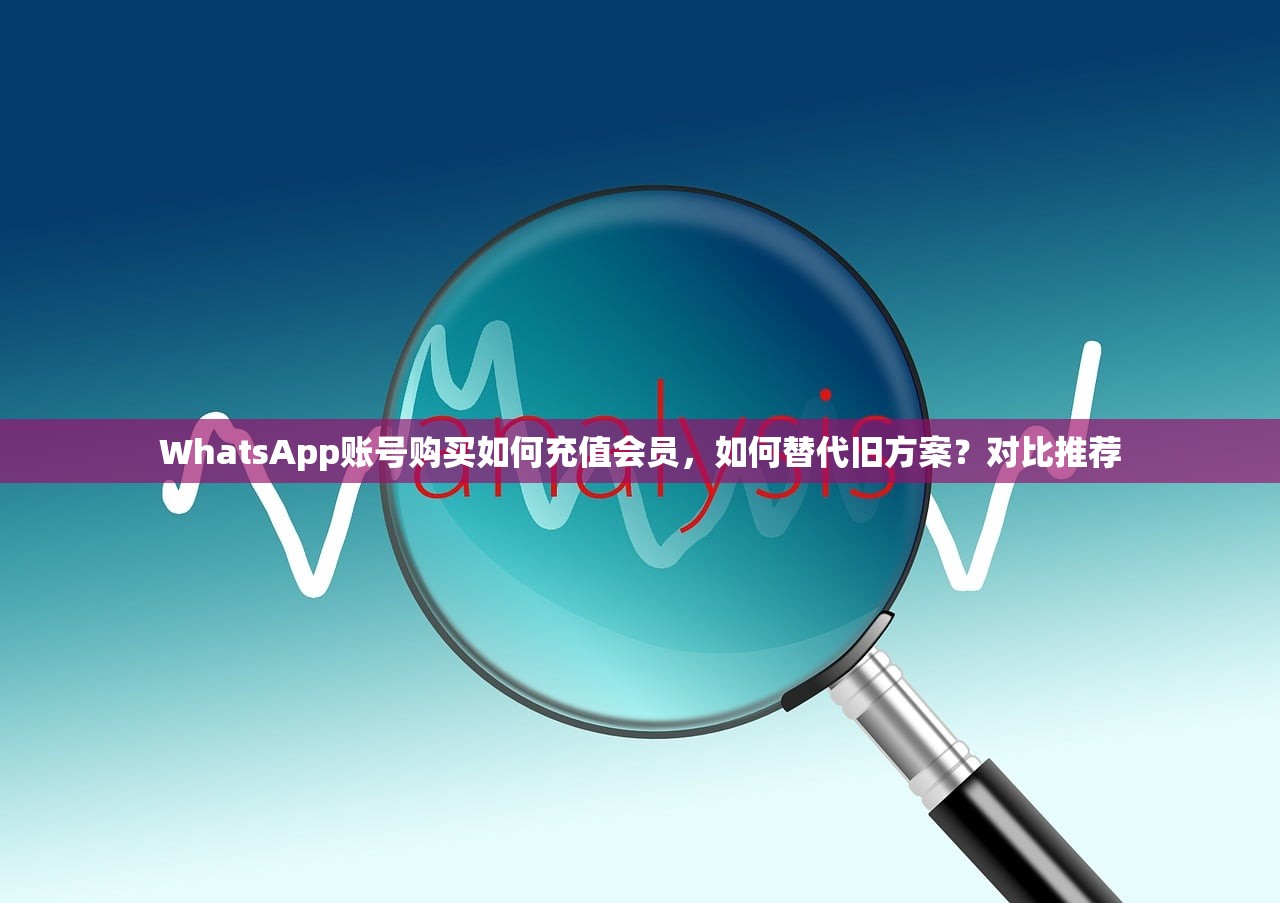 WhatsApp账号购买如何充值会员,如何替代旧方案?对比推荐