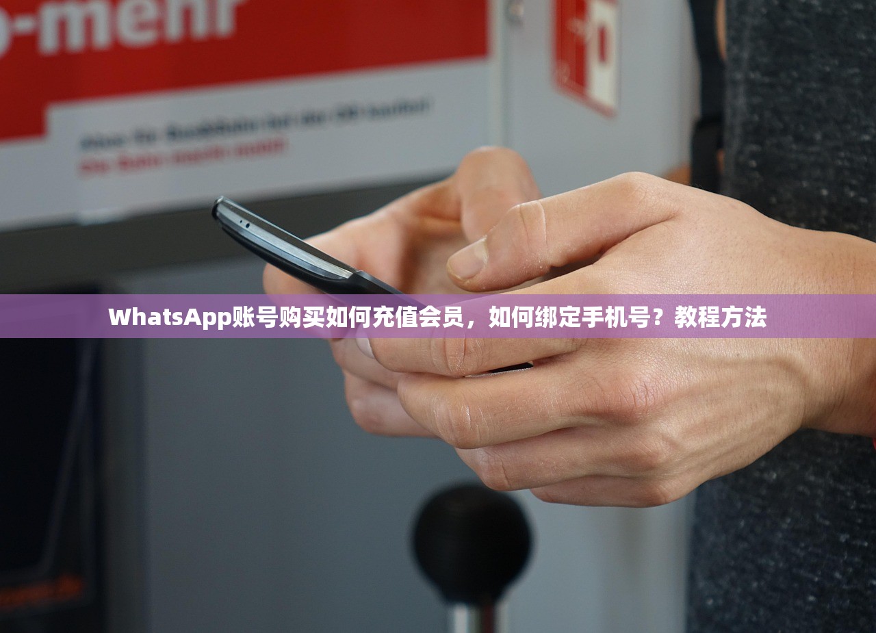 WhatsApp账号购买如何充值会员,如何绑定手机号?教程方法