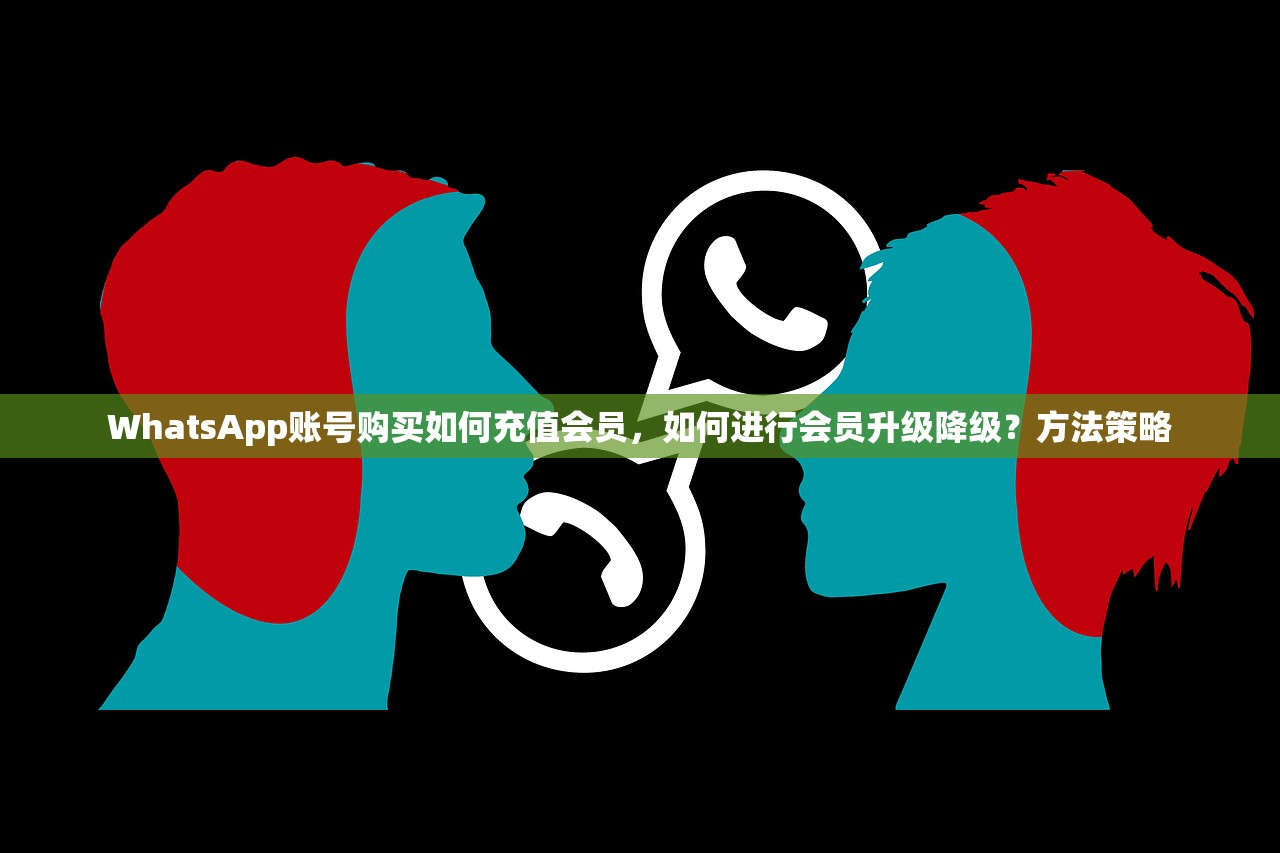 WhatsApp账号购买如何充值会员,如何进行会员升级降级?方法策略
