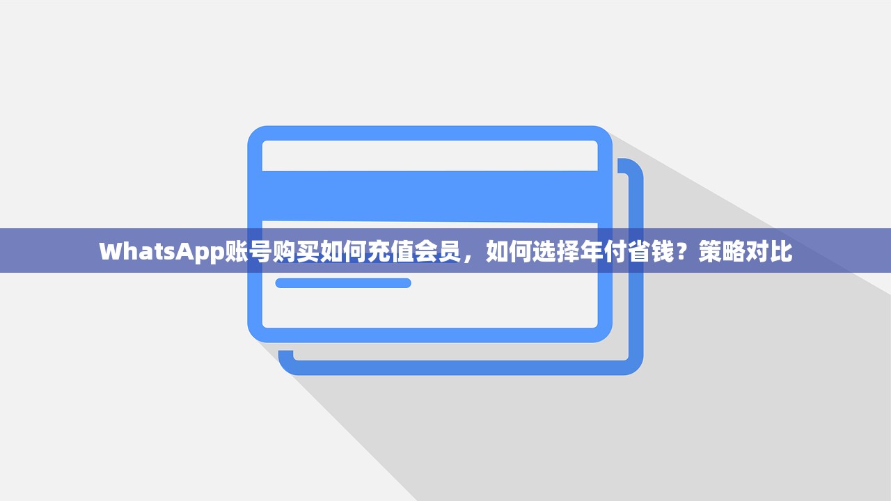 WhatsApp账号购买如何充值会员,如何选择年付省钱?策略对比