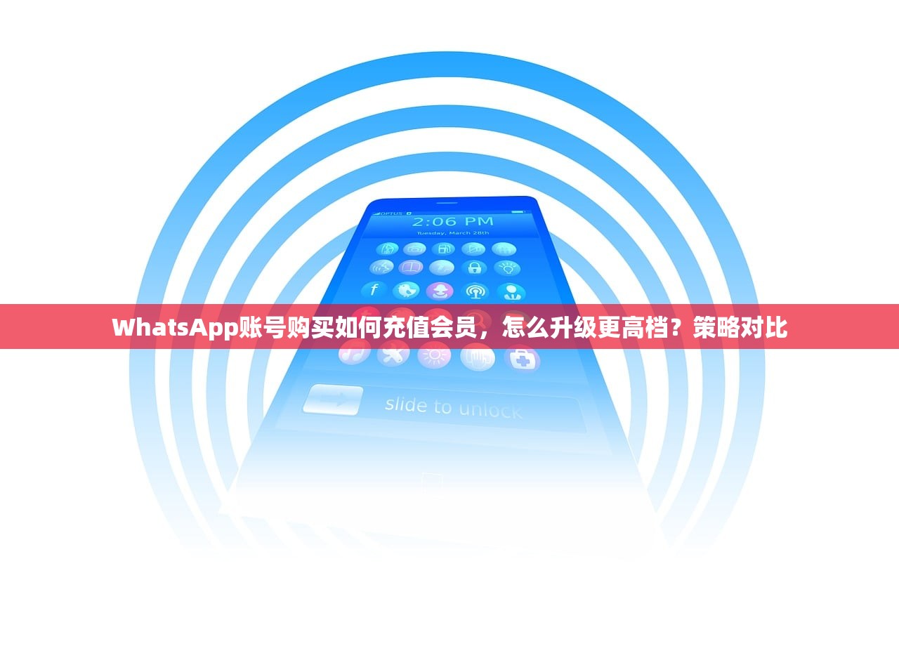 WhatsApp账号购买如何充值会员，怎么升级更高档？策略对比