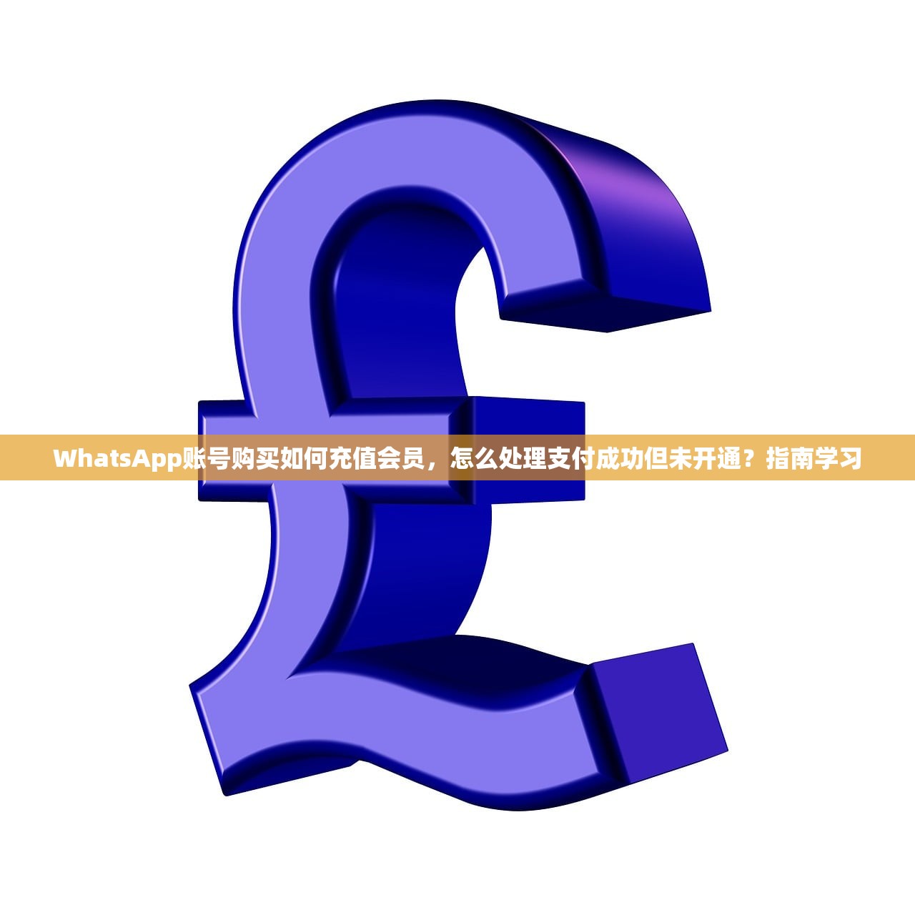 WhatsApp账号购买如何充值会员,怎么处理支付成功但未开通?指南学习