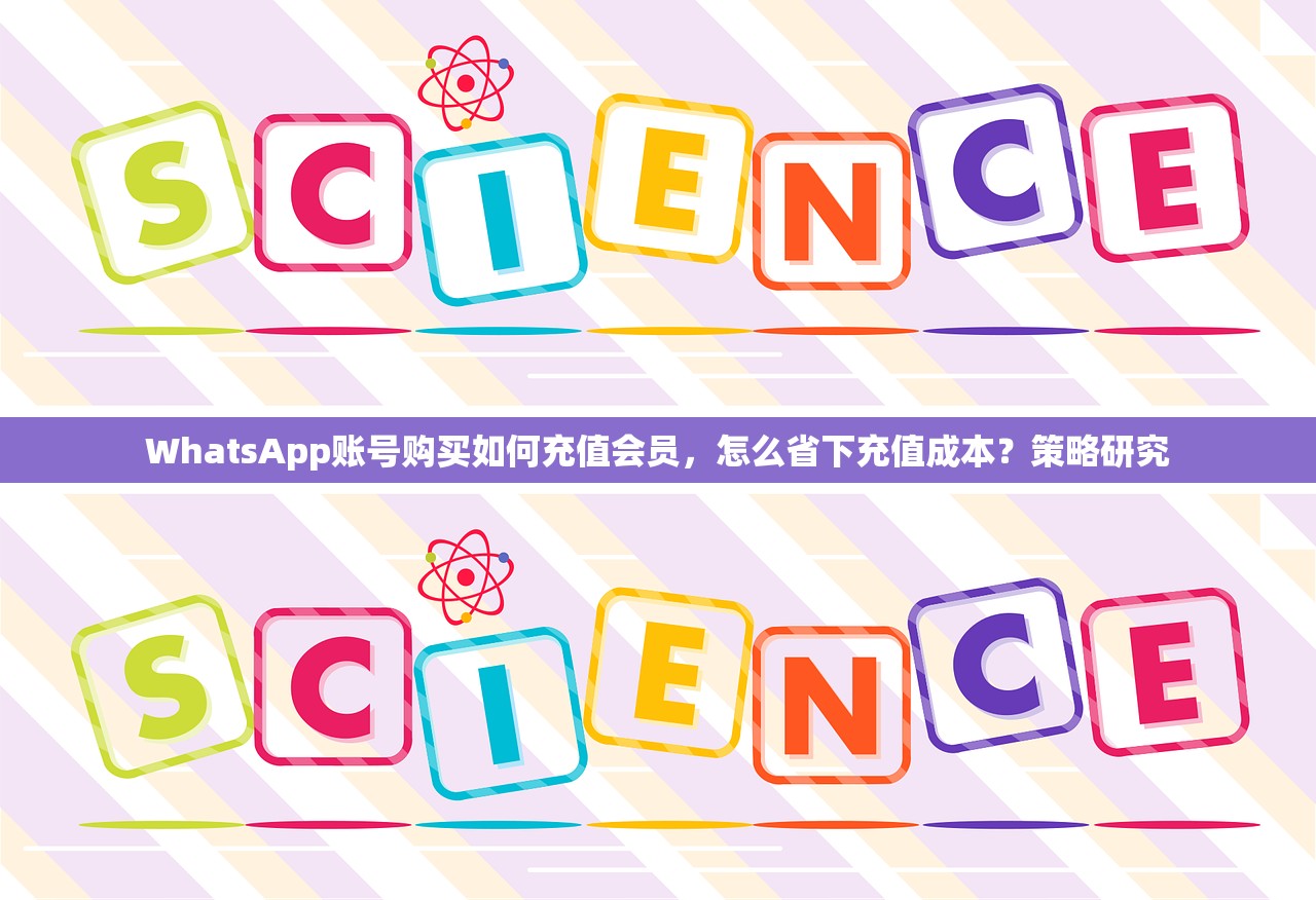 WhatsApp账号购买如何充值会员,怎么省下充值成本?策略研究