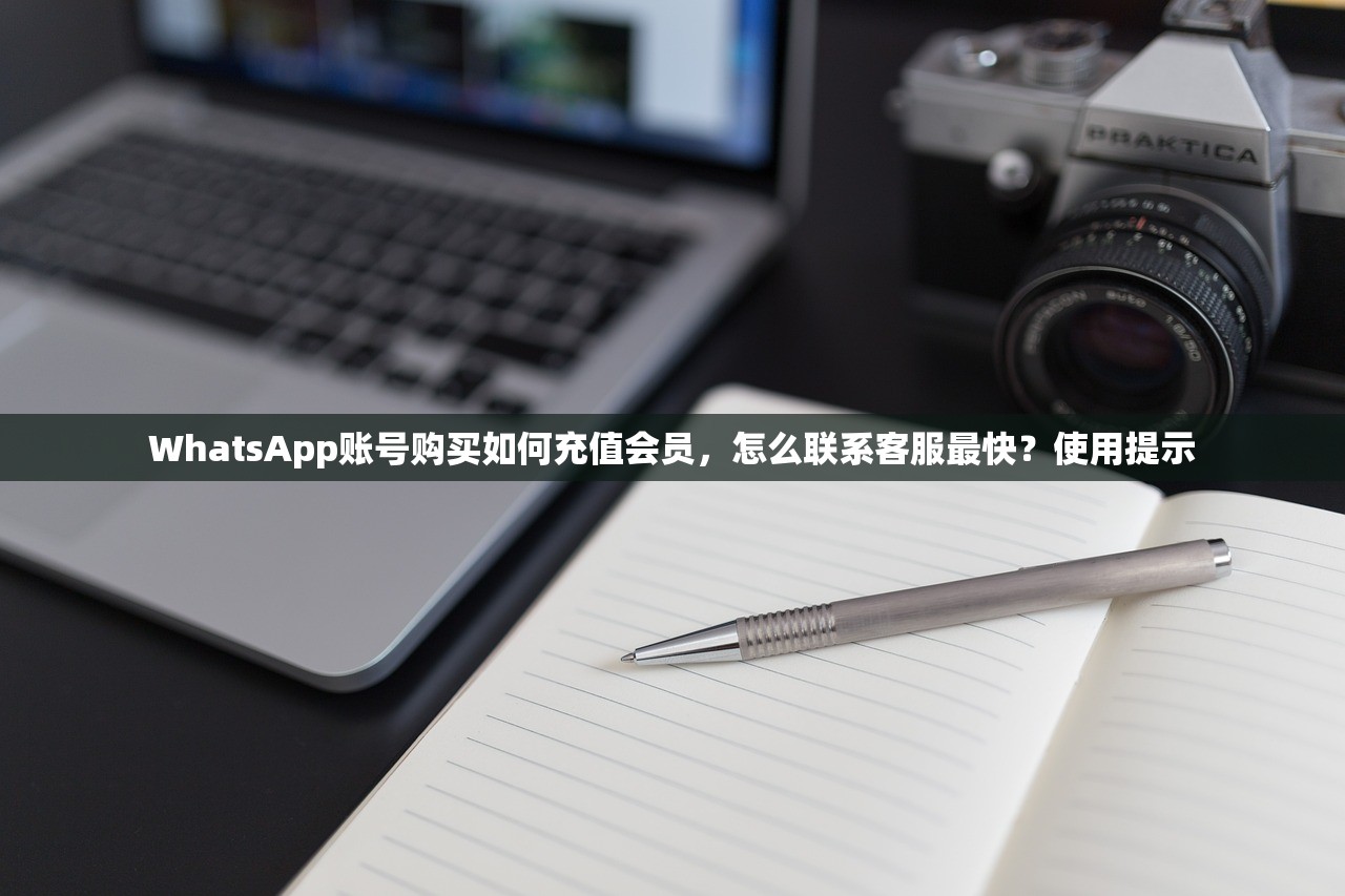 WhatsApp账号购买如何充值会员,怎么联系客服最快?使用提示
