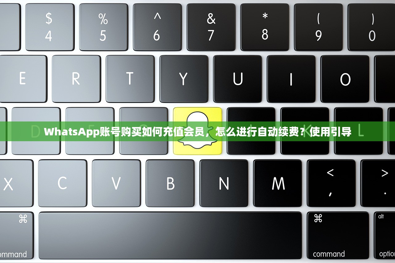 WhatsApp账号购买如何充值会员,怎么进行自动续费?使用引导