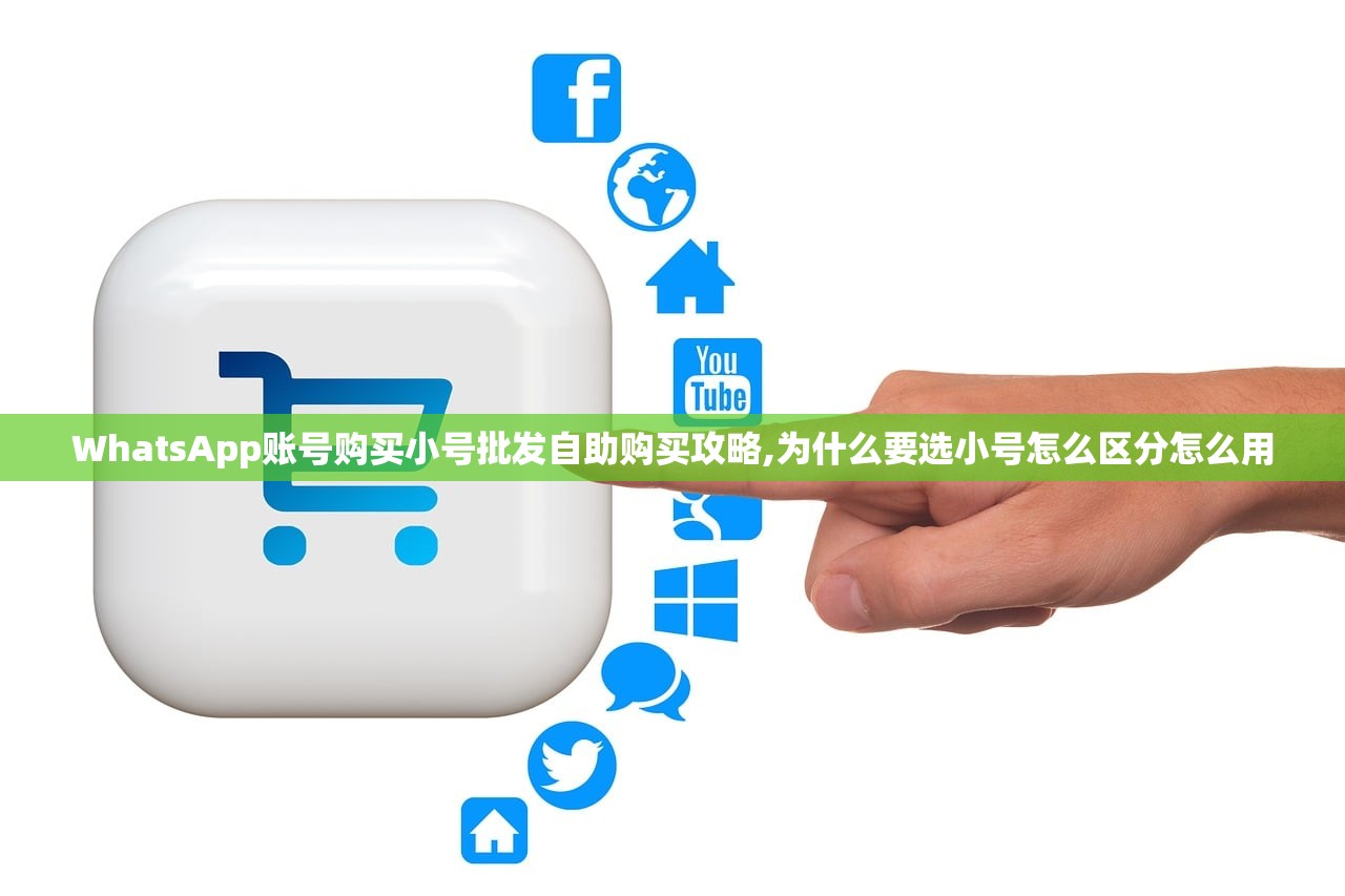 WhatsApp账号购买小号批发自助购买攻略,为什么要选小号怎么区分怎么用