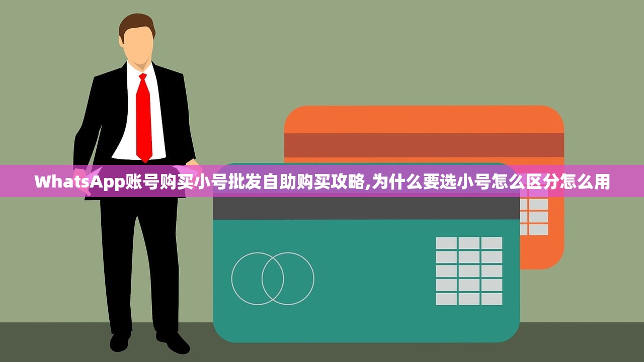 WhatsApp账号购买小号批发自助购买攻略,为什么要选小号怎么区分怎么用