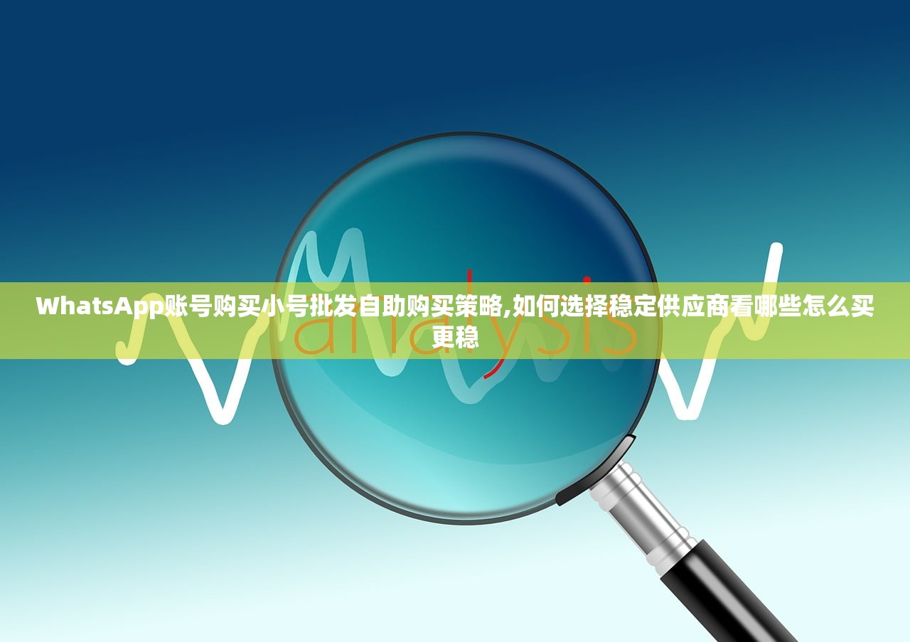 WhatsApp账号购买小号批发自助购买策略,如何选择稳定供应商看哪些怎么买更稳