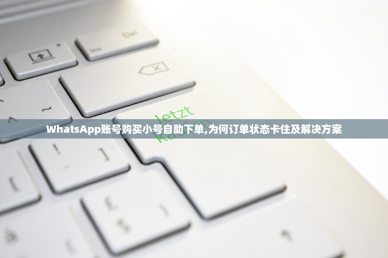 WhatsApp账号购买小号自助下单,为何订单状态卡住及解决方案
