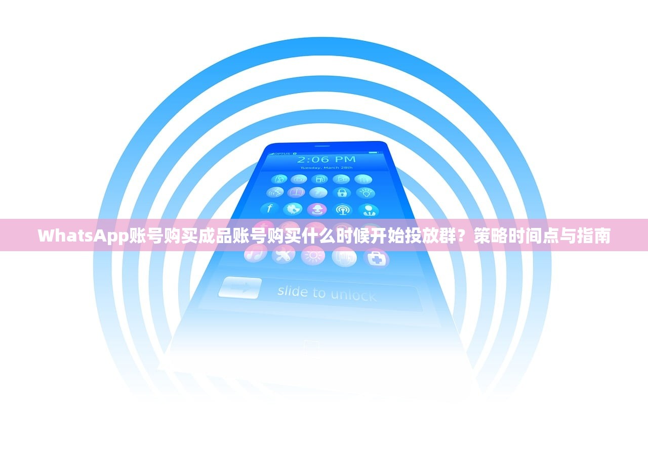 WhatsApp账号购买成品账号购买什么时候开始投放群？策略时间点与指南