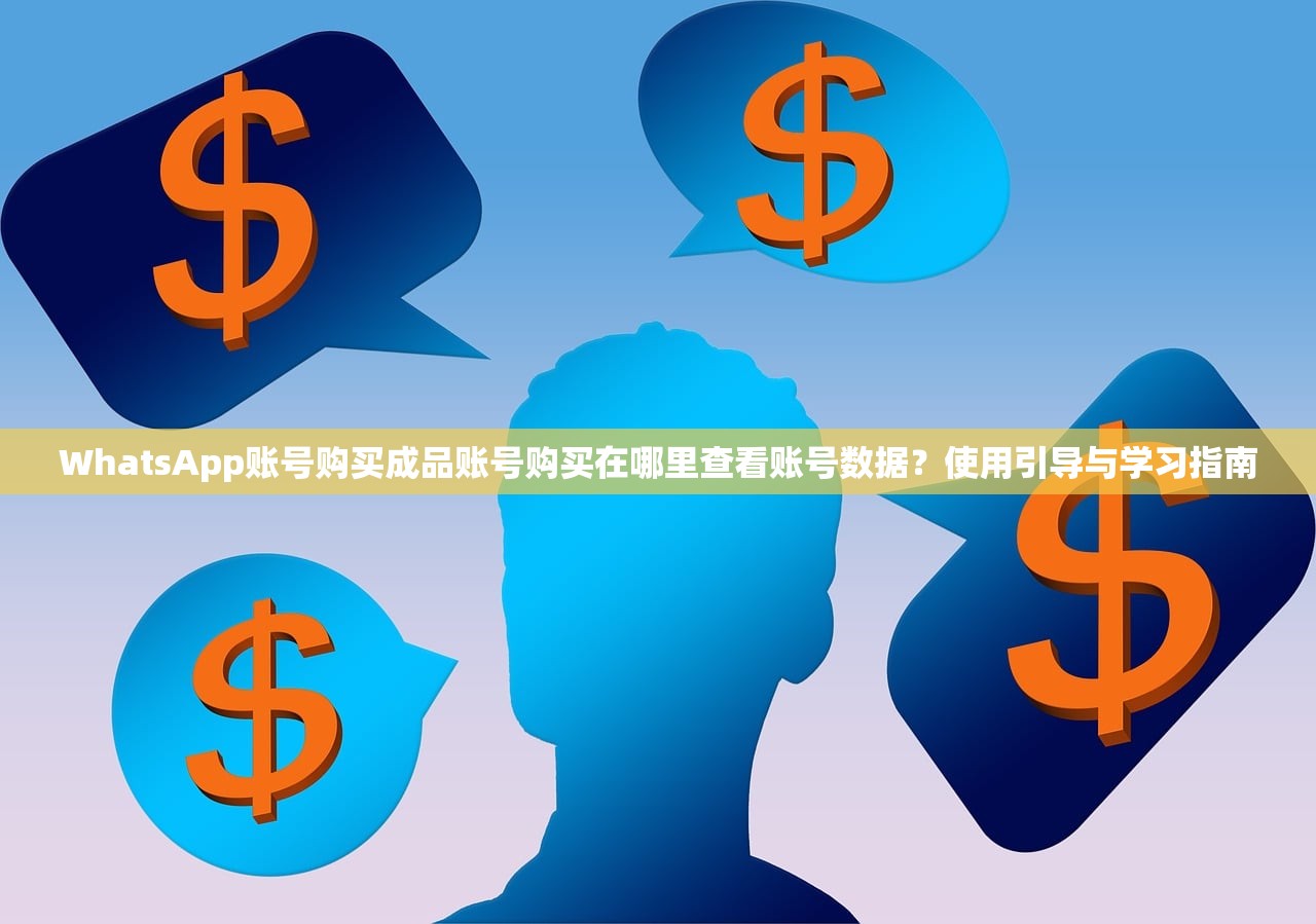 WhatsApp账号购买成品账号购买在哪里查看账号数据?使用引导与学习指南