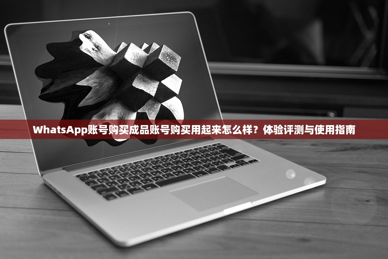 WhatsApp账号购买成品账号购买用起来怎么样？体验评测与使用指南