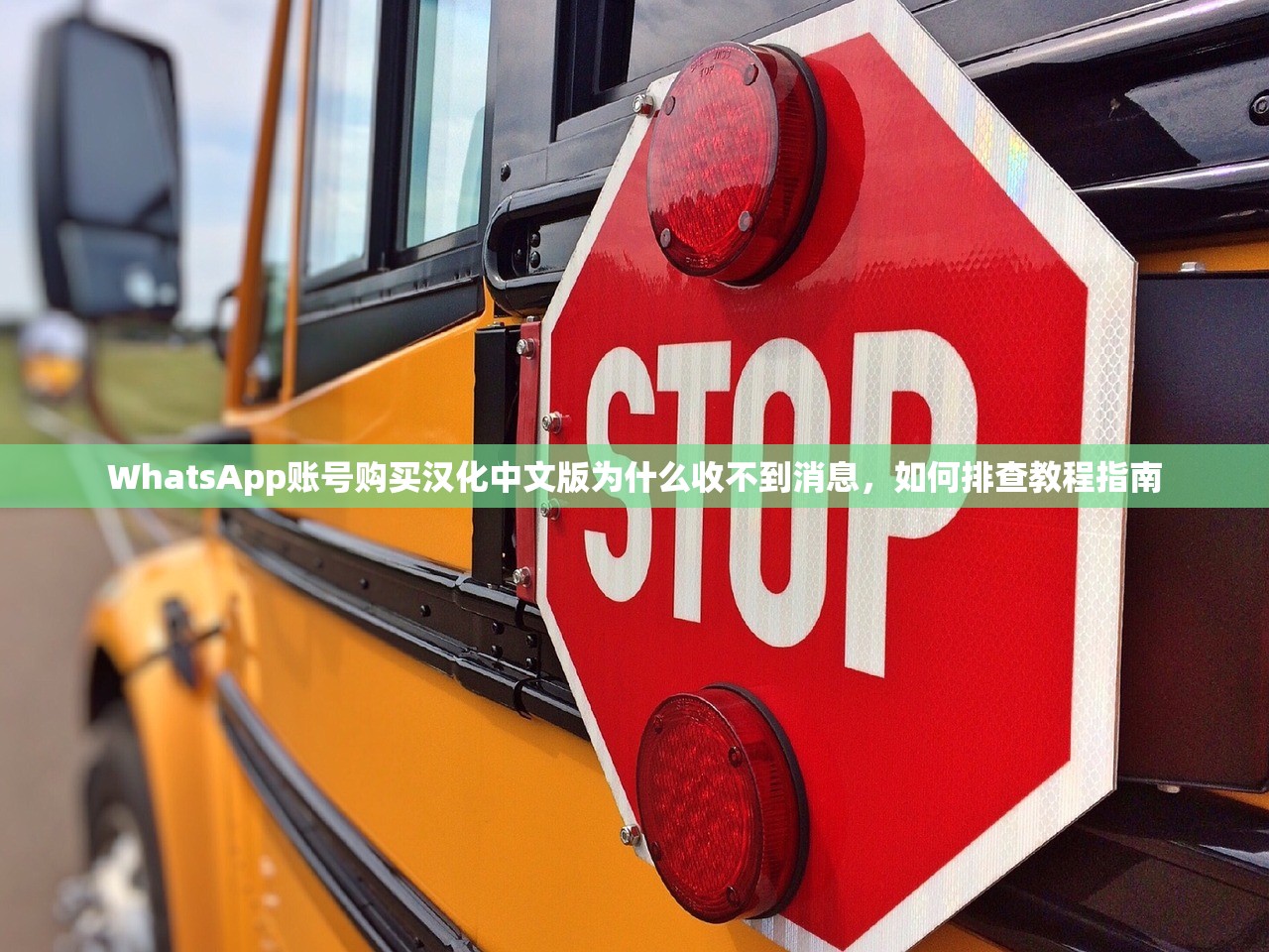WhatsApp账号购买汉化中文版为什么收不到消息，如何排查教程指南