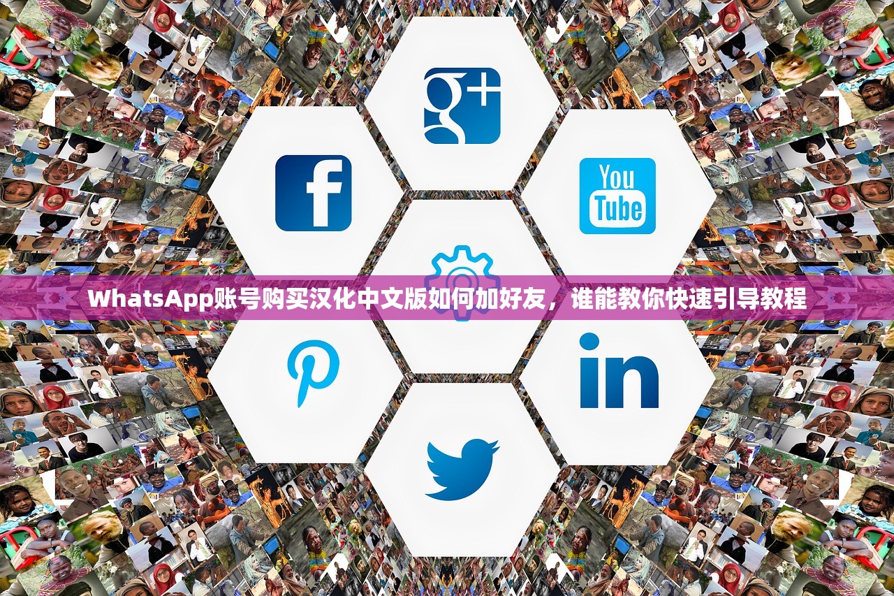WhatsApp账号购买汉化中文版如何加好友，谁能教你快速引导教程