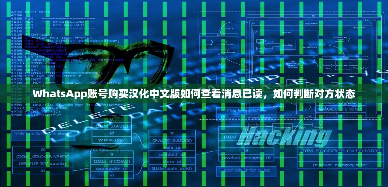 WhatsApp账号购买汉化中文版如何查看消息已读,如何判断对方状态
