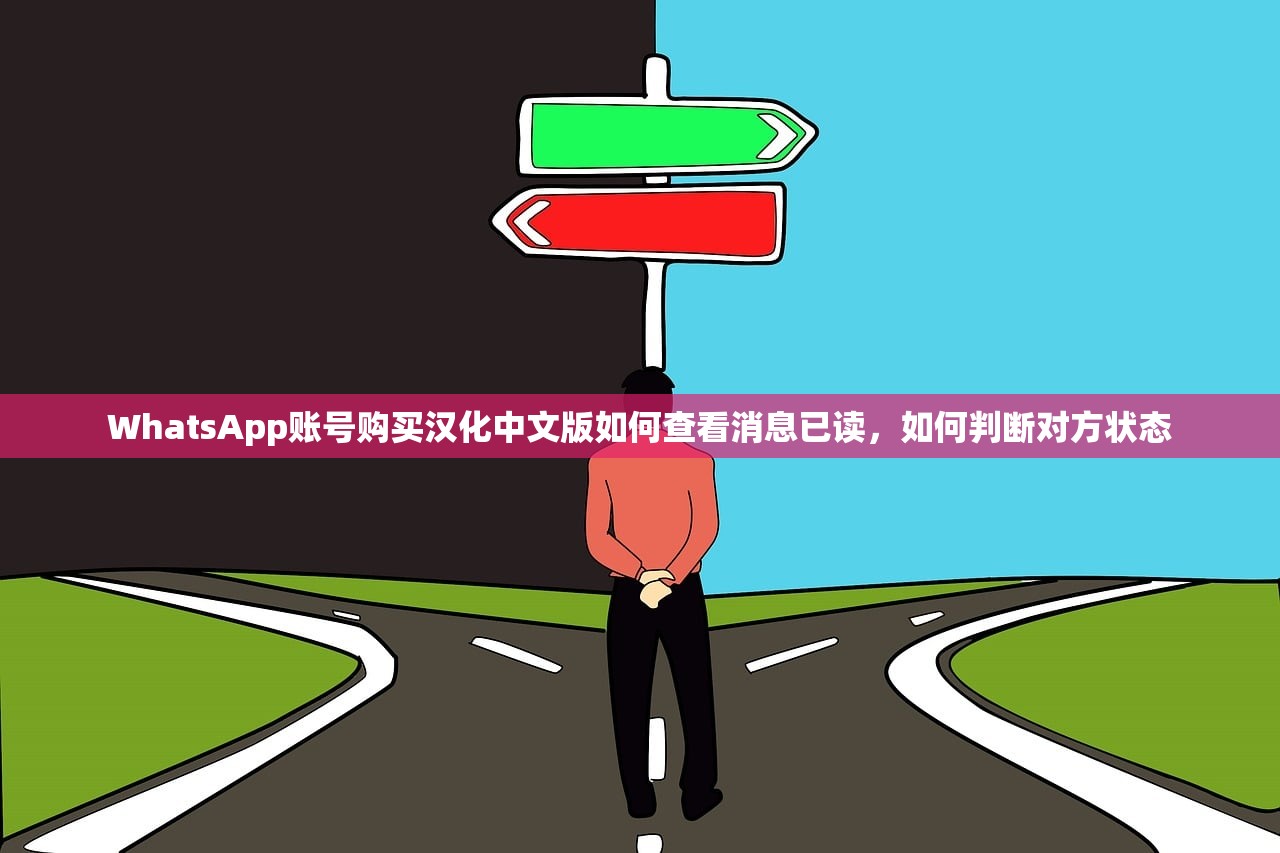 WhatsApp账号购买汉化中文版如何查看消息已读,如何判断对方状态